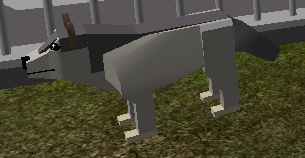 Roblox Zoo Simulator