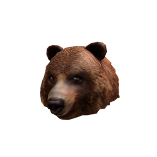 Endless Summer Grizzly Bear | Roblox Wikia | FANDOM powered by Wikia