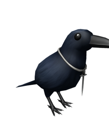 roblox club raven Rogue Raven Companion Roblox Wikia Fandom