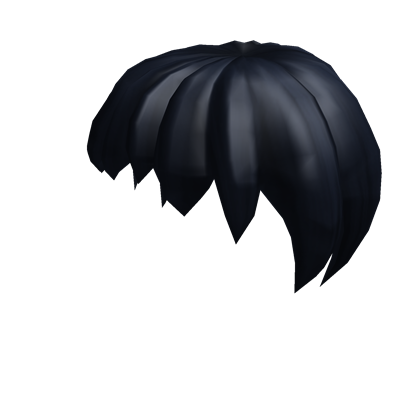 Black Pal Hair Roblox