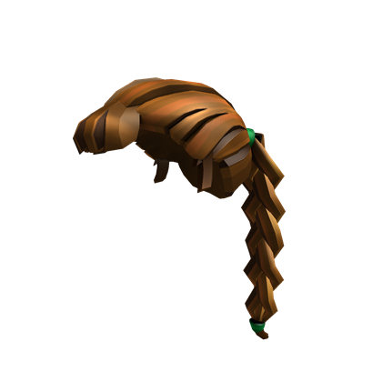 Tarabyte's Long Braid | Roblox Wikia | Fandom