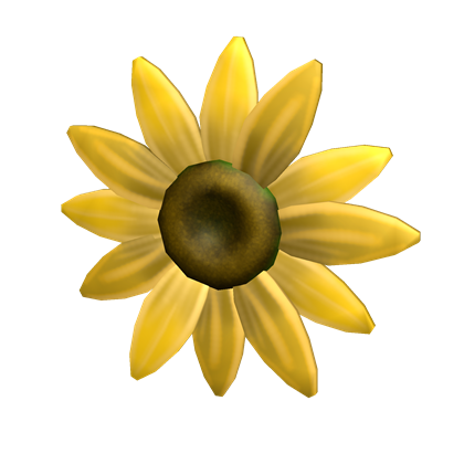 Roblox Support Pin