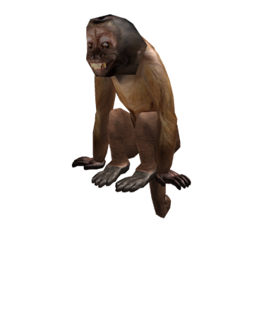 Monkey Hat Roblox