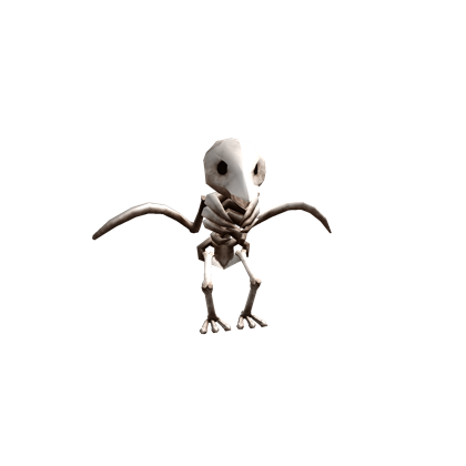 Skeleton Bird Friend Roblox Wikia Fandom Powered By Wikia - 