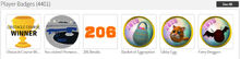 PlayerBadges