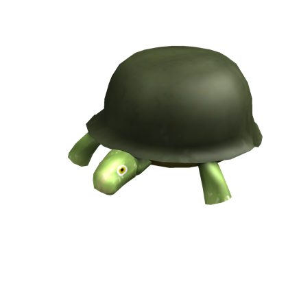 General Turtle Roblox Wikia Fandom - roblox turtle simulator