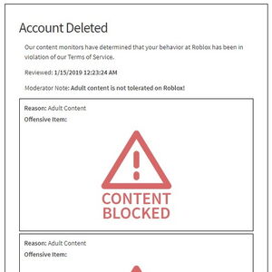 30 Year Roblox Account Banned