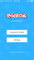 ROBLOX Developer Menu Screen