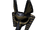 Category:Face accessories | Roblox Wikia | Fandom
