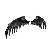 Roblox Free Sparkling Angel Wings