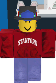 roblox hats accessory hat wikia limited note much