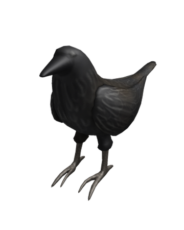 Shoulder Crow Roblox Wikia Fandom