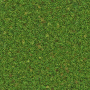 grass texture game painting grass texture roblox wikia fandom powered by grass texture game painting grass texture roblox wikia fandom powered by