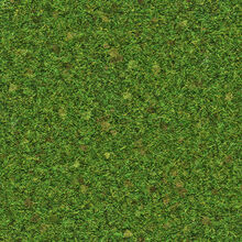 Grass Roblox Wikia Fandom