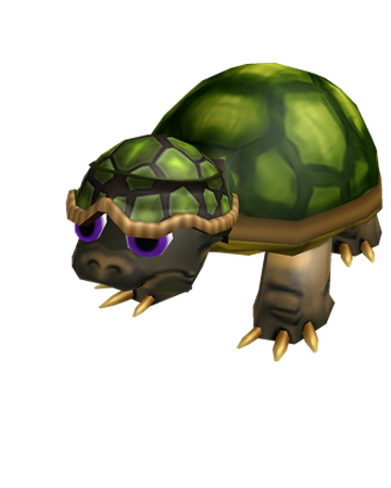 Crazy Turtle Friend Roblox Wikia Fandom