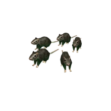 Stranger Things 3 Roblox Wikia Fandom Powered By Wikia - 