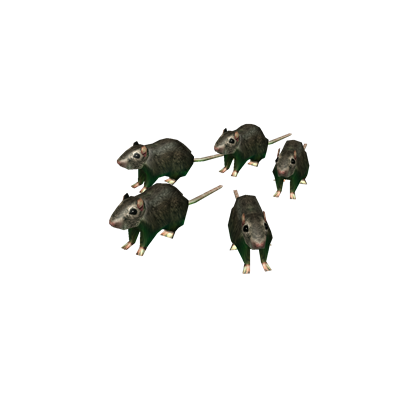 rat model 1 roblox