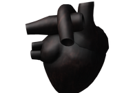 Category Front Accessories Roblox Wikia Fandom
