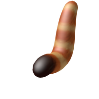 Red Panda Tail Roblox Wikia Fandom