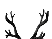 Void Antlers Roblox Id Code