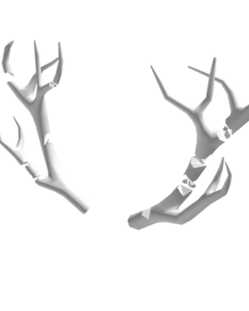 Transparent White Shoes Roblox