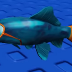 Festive Narwhal Roblox Wikia Fandom