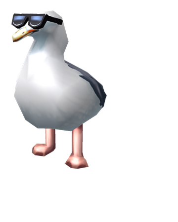 Cool Roblox Pictures Decoys Too Cool Seagull Roblox Wikia Fandom