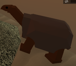 Zoo Tycoon Roblox Wikia Fandom Powered By Wikia - 