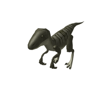 Roblox The Labyrinth Velociraptor