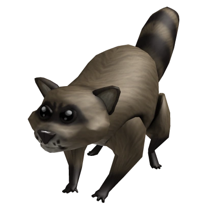 Attack Raccoon Roblox Wikia Fandom Latest