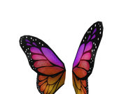 Category Wings Roblox Wikia Fandom