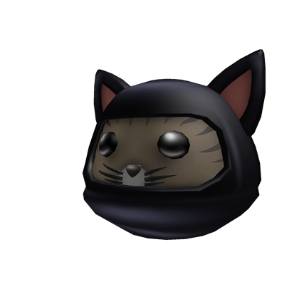 cat ninja tyrone unblocked games 2