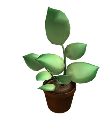 Earth Day Plant 2010 Roblox Wikia Fandom