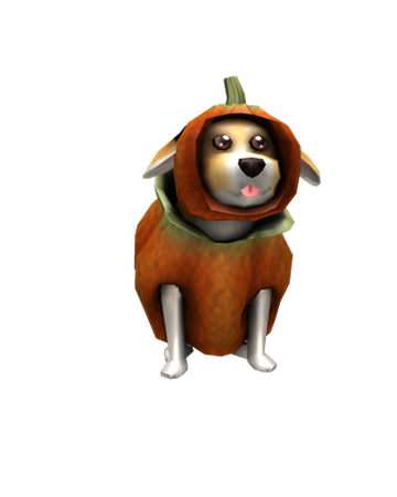 Puppy Of The Week Pumpkin Pup Roblox Wikia Fandom - roblox avatar of the week