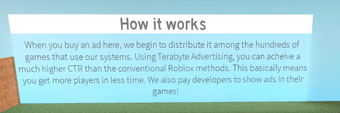 Terabyte Services Roblox Application