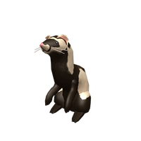 Shoulder Ferret Roblox Wikia Fandom