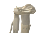 Category Neck Accessories Roblox Wikia Fandom - roblox wikia infinity scarf in lovely lavendar roblox wikia fandom Category Neck Accessories Roblox Wikia Fandom - infinity scarf in lovely lavendar roblox wikia fandom