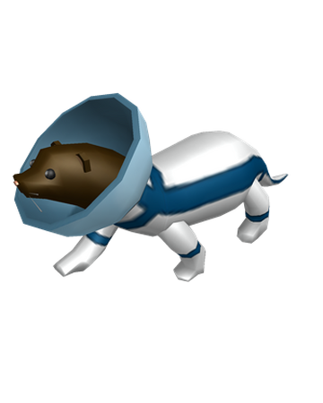 Roblox Otter