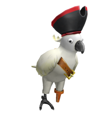 Fancy Pirate S Companion Roblox Wikia Fandom