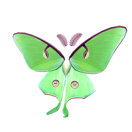 Dreamy Luna Moth Wings Roblox Wikia Fandom