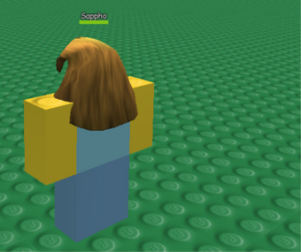 Roblox How To Wear 2 Hairs At Once Accessory Roblox Wikia Fandom