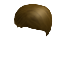 Normal Boy Hair Roblox Wikia Fandom