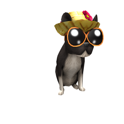 Tropical Pup | Roblox Wikia | FANDOM powered by Wikia Tropical Pup | Roblox Wikia | FANDOM powered by Wikia