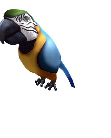 Macaw Shoulder Friend Roblox Wikia Fandom - roblox shoulder accessories id