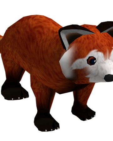 Red Panda Roblox Wikia Fandom