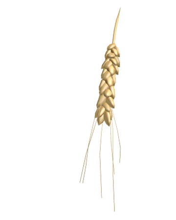 Western Wheat Roblox Wikia Fandom