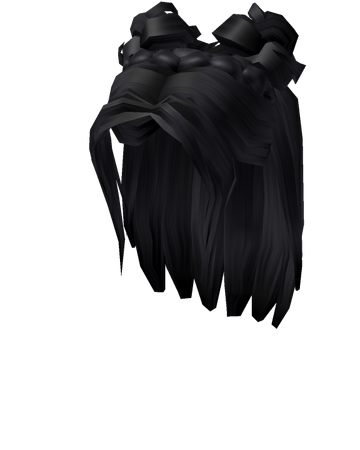 Black Space Bun Braid Roblox Wikia Fandom
