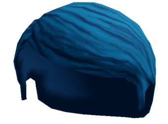 Canceled Itemsaccessories Roblox Wikia Fandom - blue cowgirl hat roblox