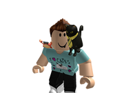 Category 2016 Users Roblox Wikia Fandom