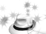 Category Items With Special Effects Roblox Wikia Fandom Powered - boss white hat